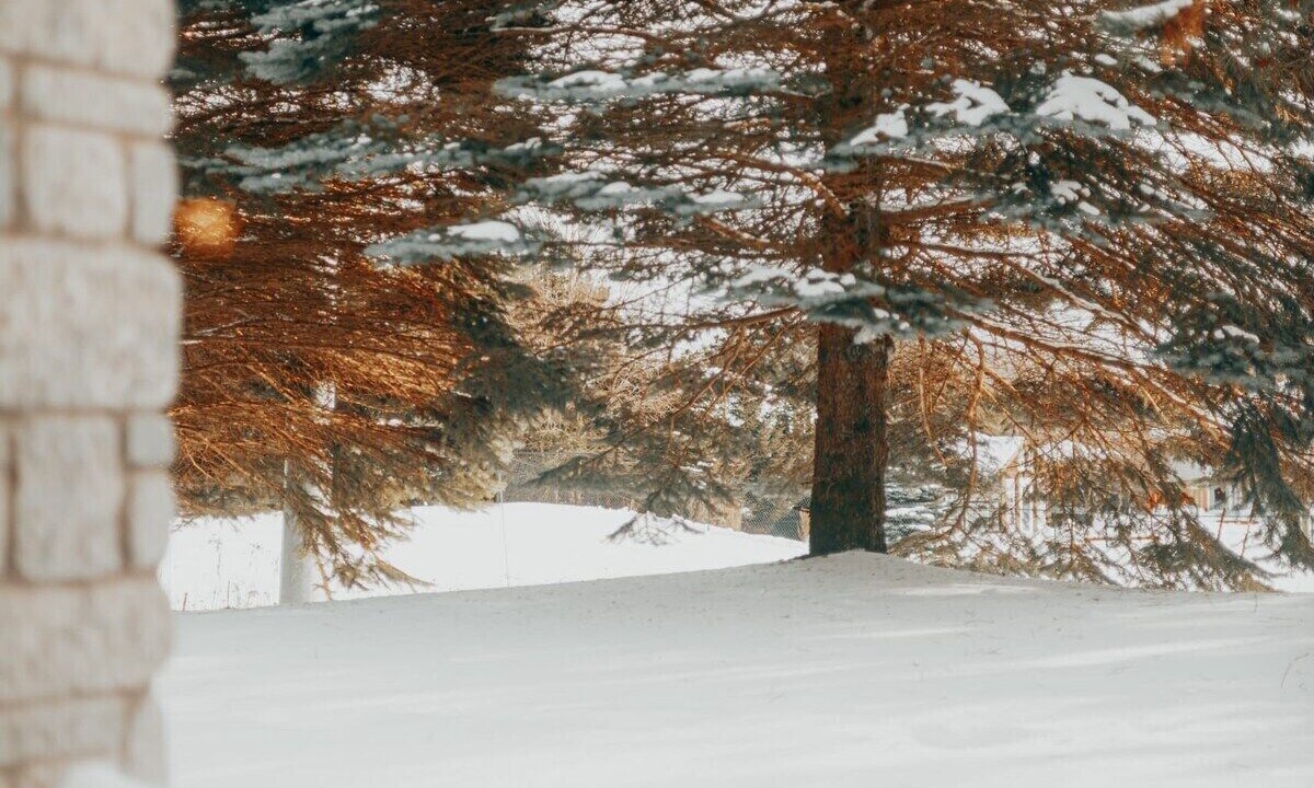 Photo of Outdoor in Oro-Medonte