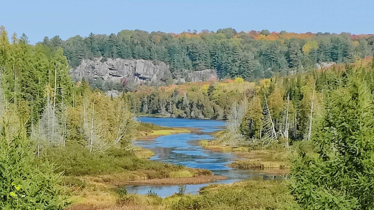 Photo of Outdoor in Novar