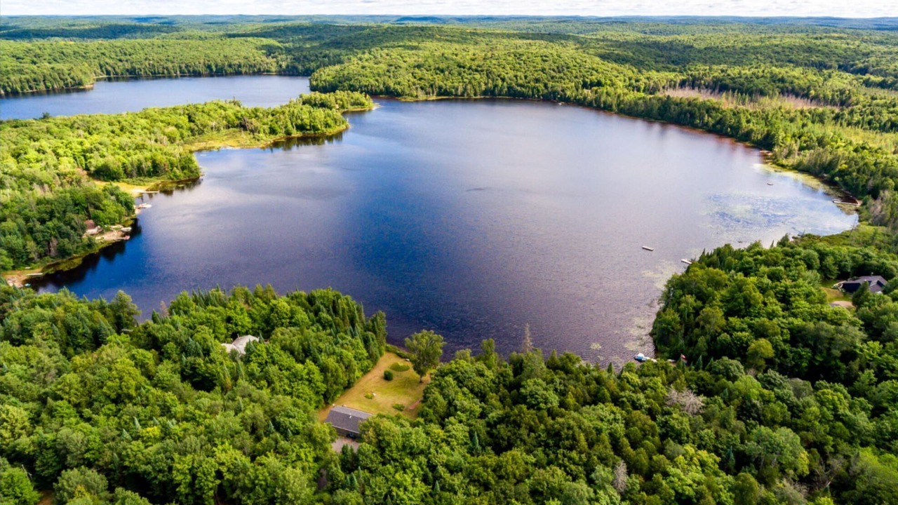 Photo of Outdoor in Novar