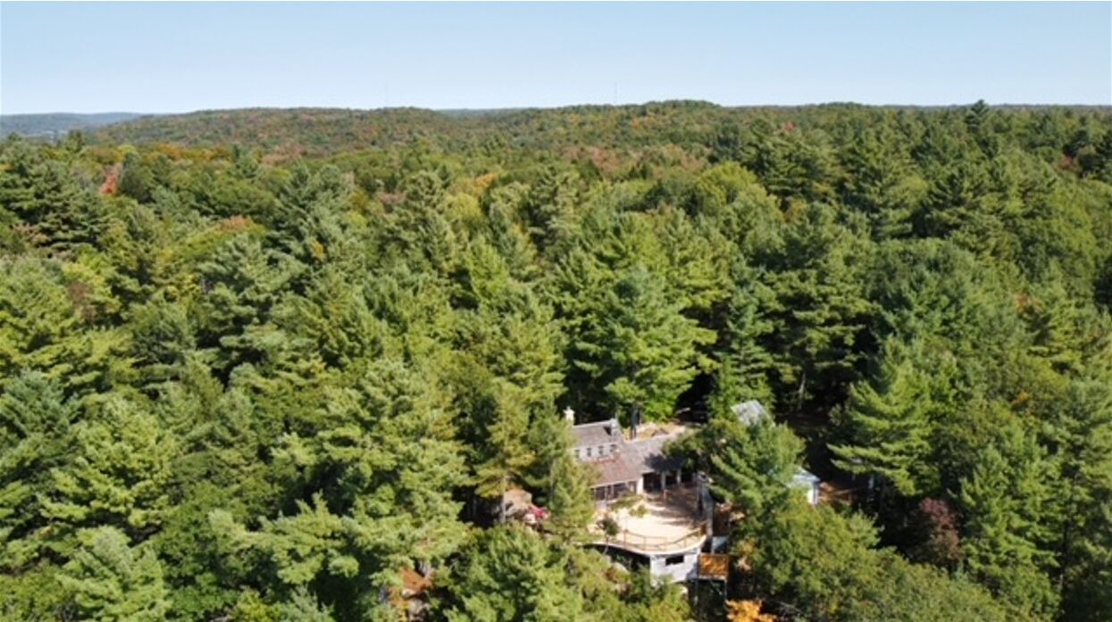 Photo of Others in Minden Hills