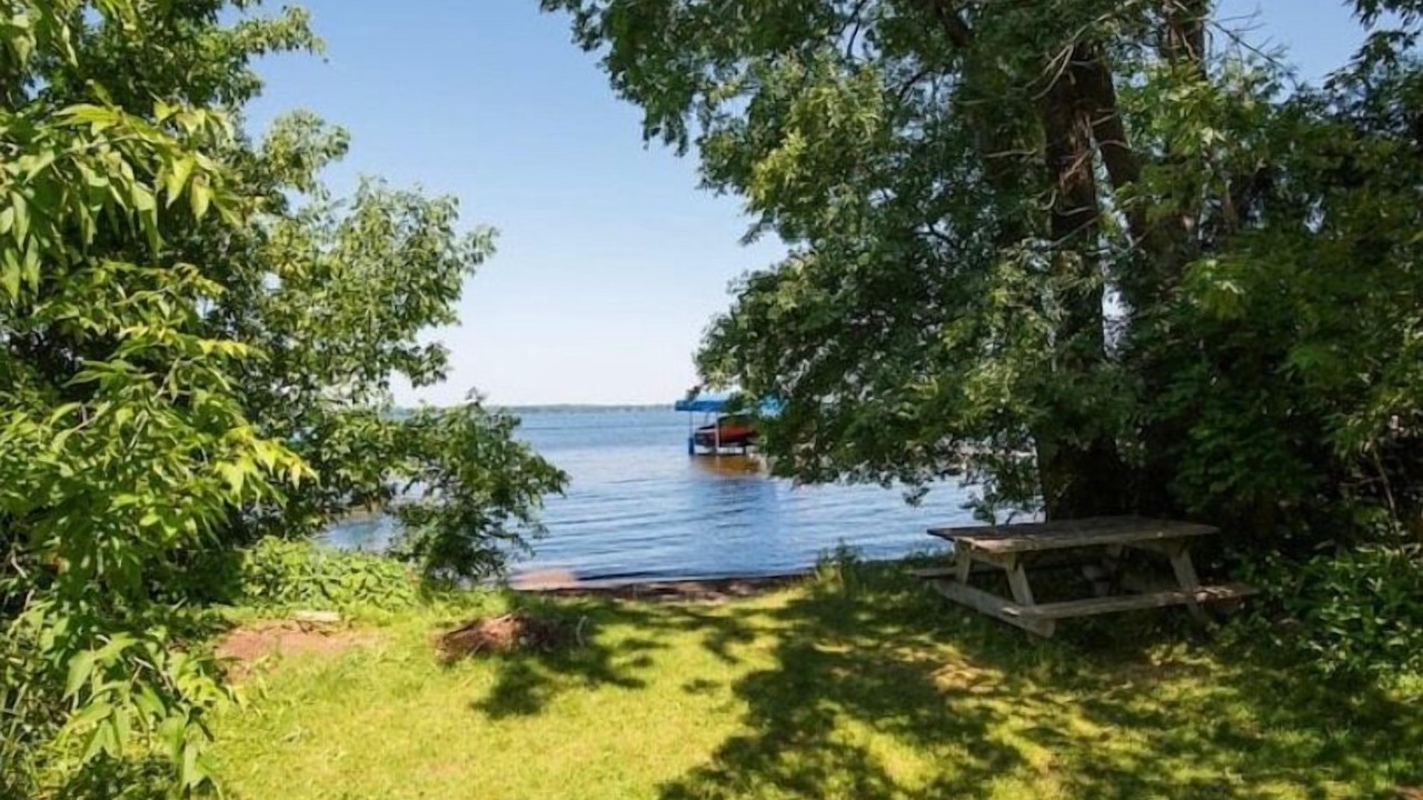 Photo of Others in Fenelon Falls