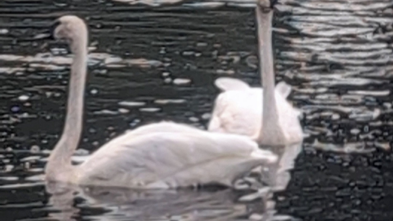 Photo of Others in Douro-Dummer