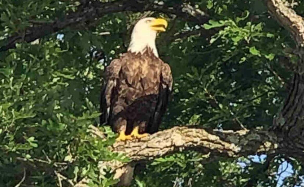 Photo of Others in Big Lake