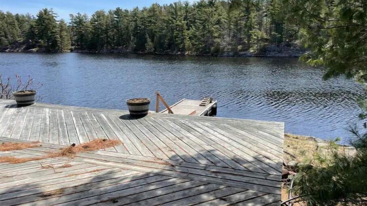 Photo of Others in Byng Inlet