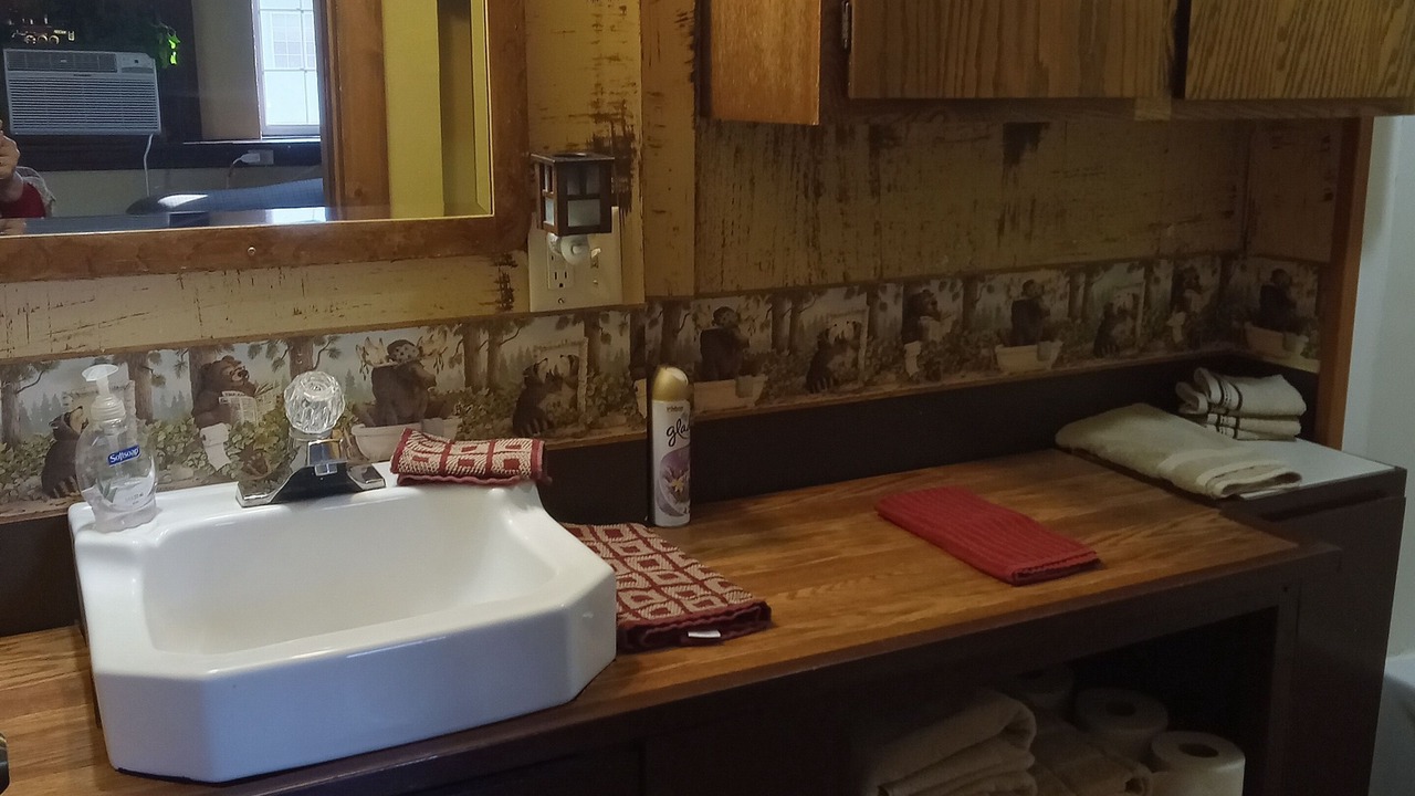 Photo of Bathroom in Grey Eagle