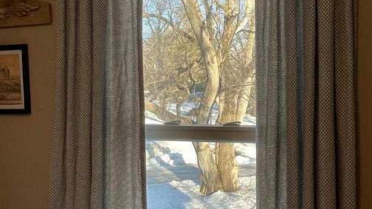 Photo of Others in Northfield