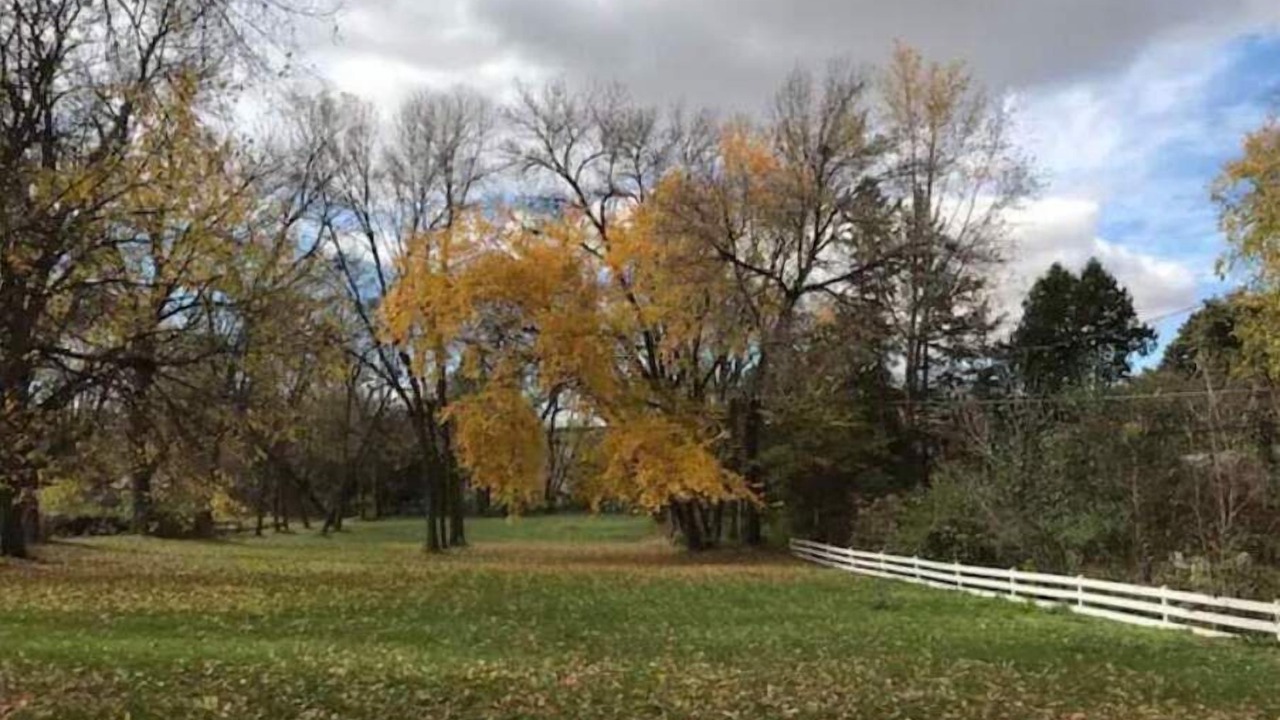 Photo of Outdoor in Northfield