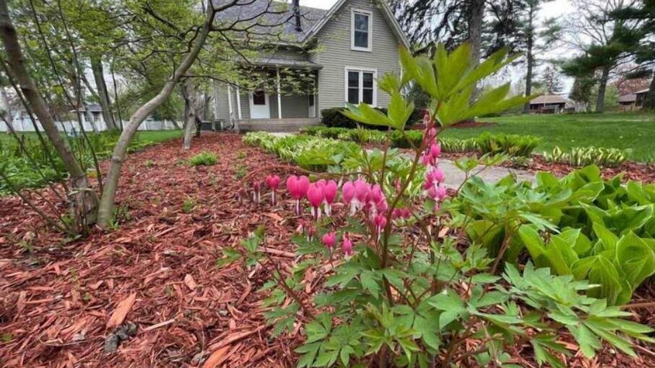 Photo of Outdoor in Northfield