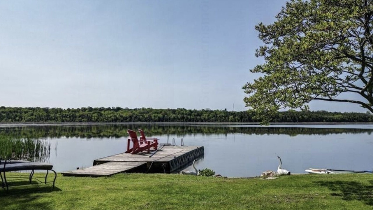 Photo of Outdoor in Selwyn