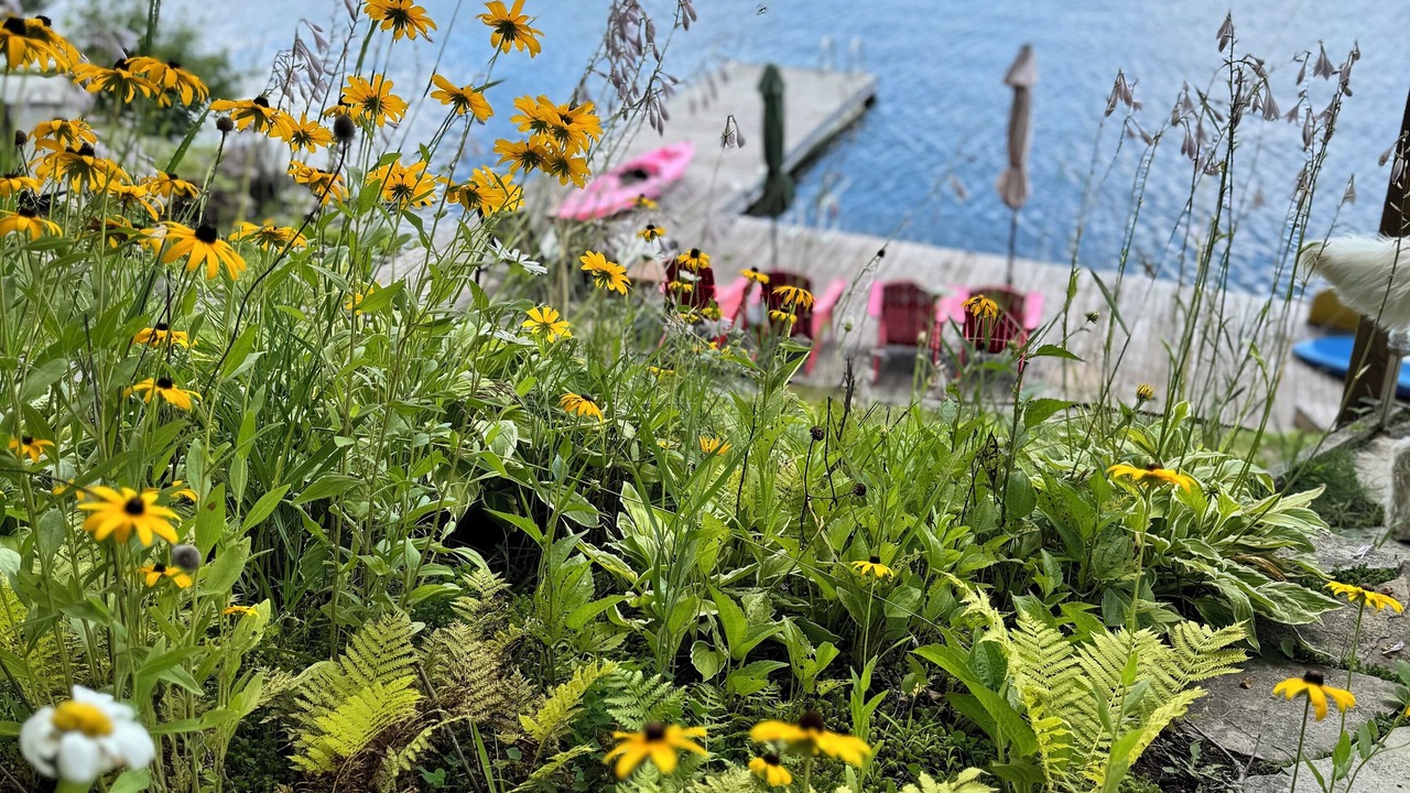 Photo of Outdoor in North Kawartha
