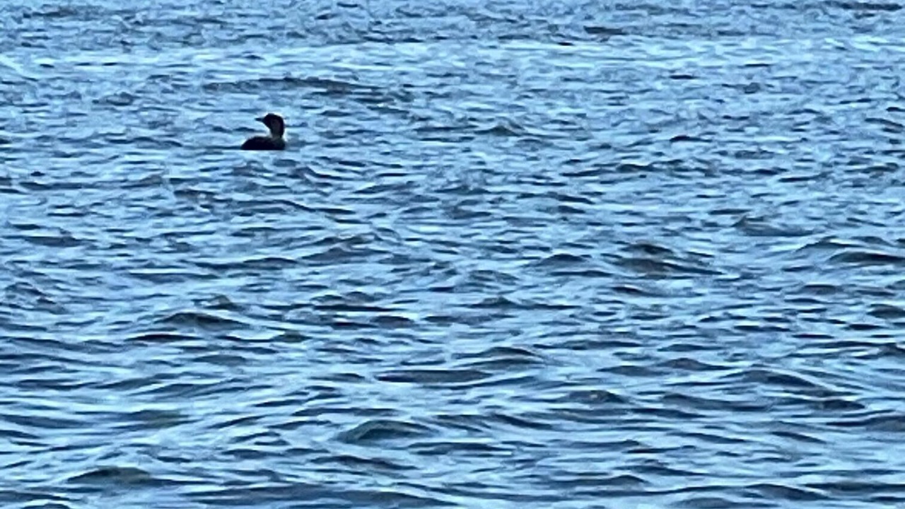 Photo of Others in Cushing