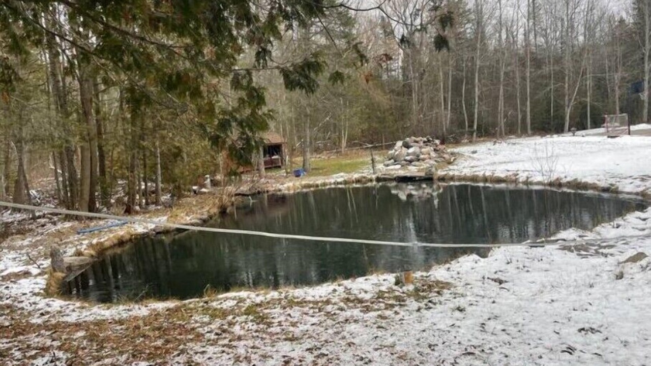 Photo of Others in Springwater