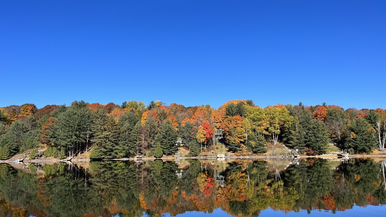 Photo of Others in Gooderham