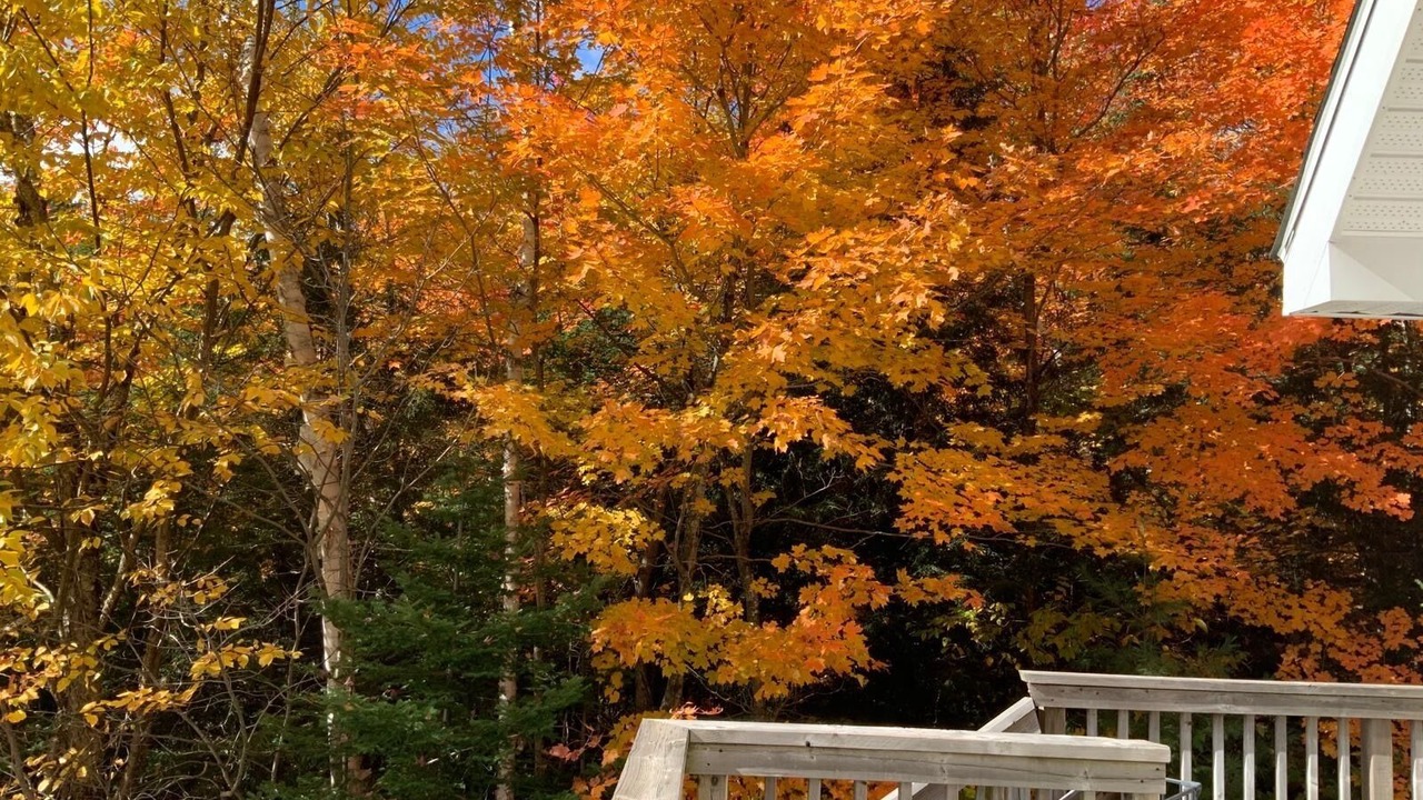 Photo of Outdoor in Perry