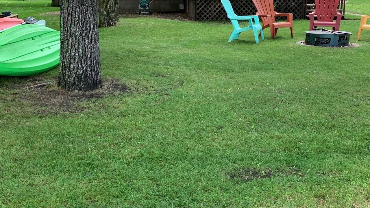 Photo of Outdoor in Clear Lake