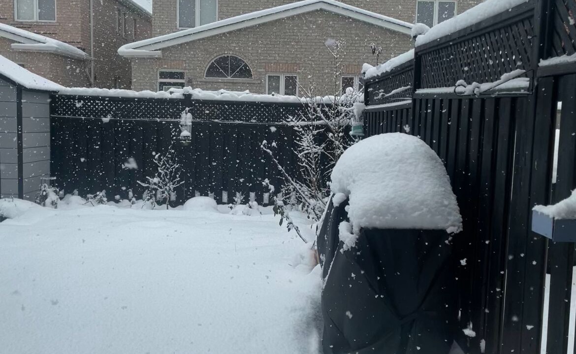Photo of Outdoor in Churchill Meadows