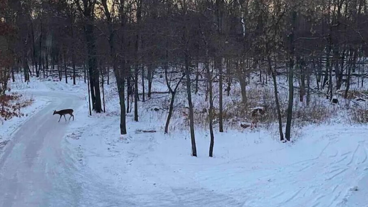 Photo of Others in Blaine