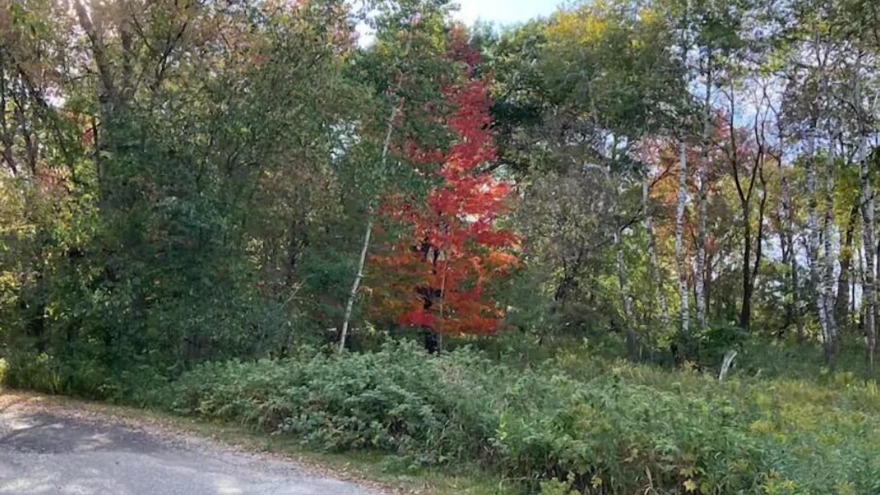Photo of Outdoor in Blaine
