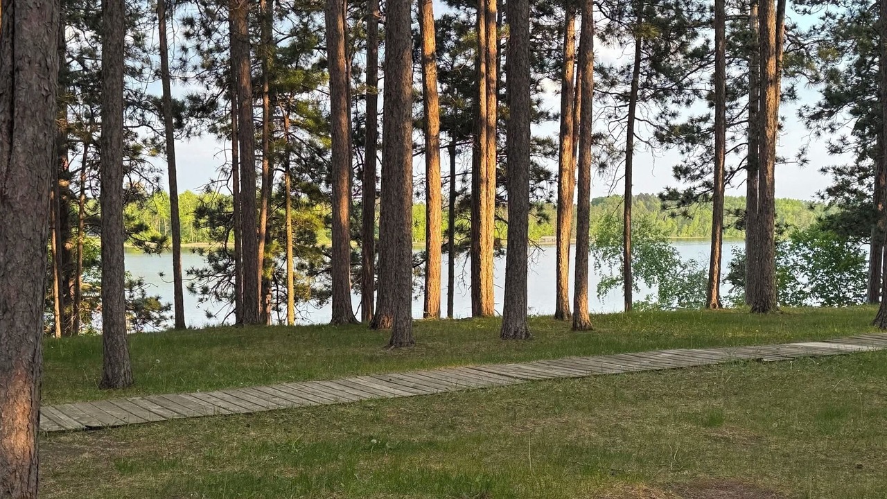 Photo of Others in Park Rapids