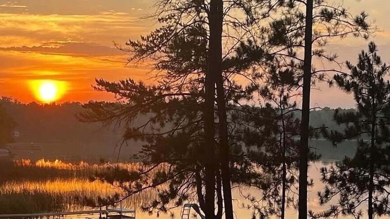 Photo of Others in Park Rapids