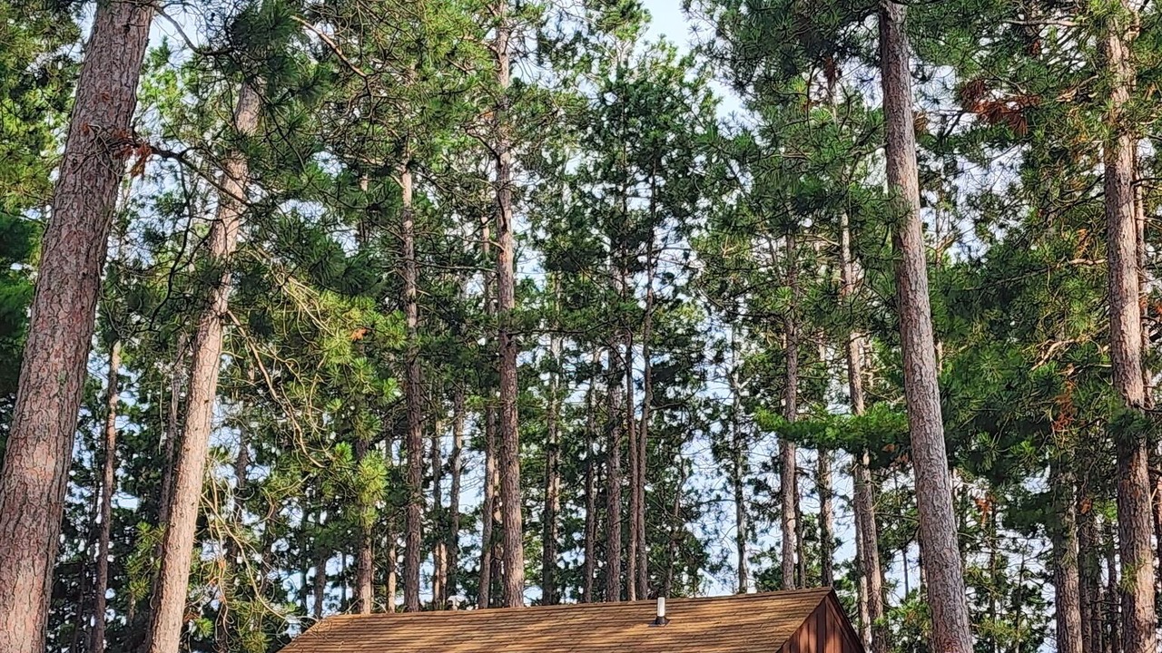 Photo of Outdoor in Park Rapids