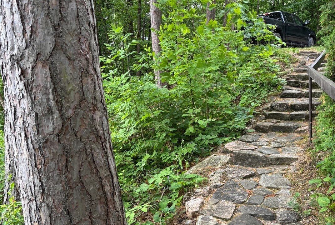Photo of Outdoor in Minden Hills