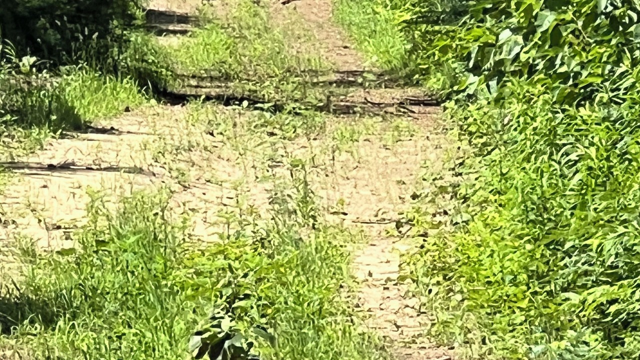 Photo of Others in Langton