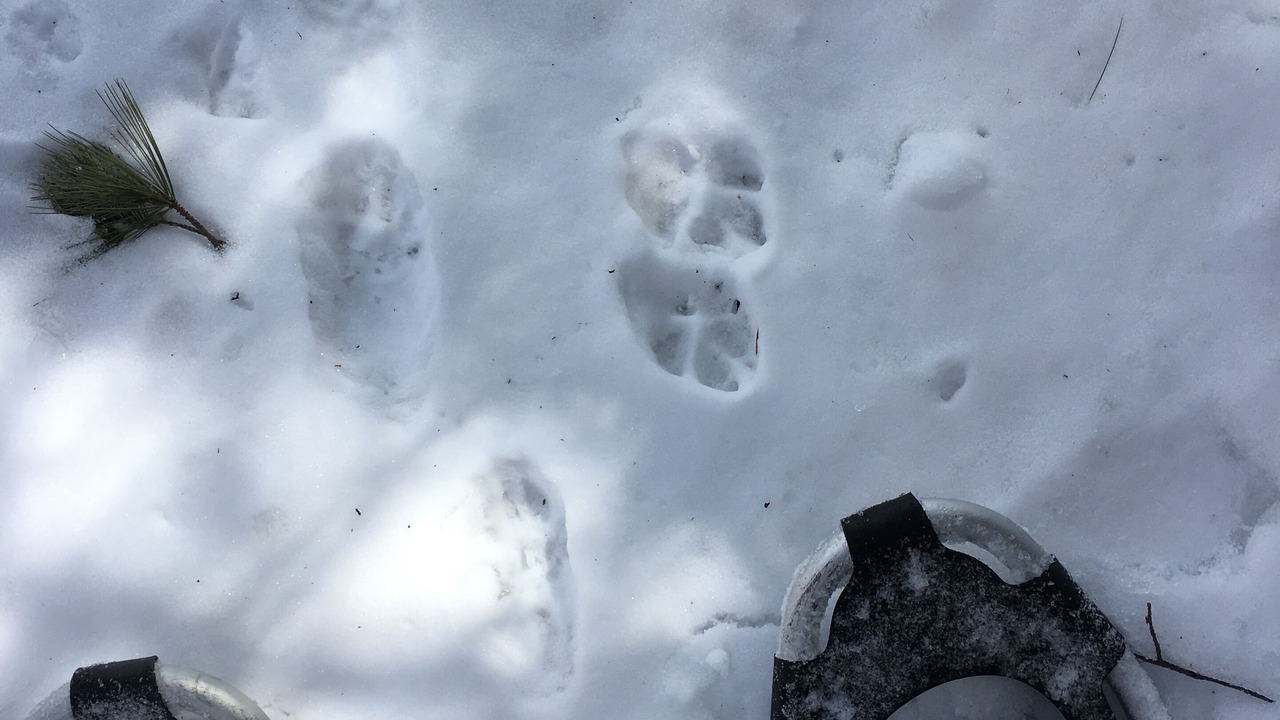 Photo of Others in Bonnechere Valley