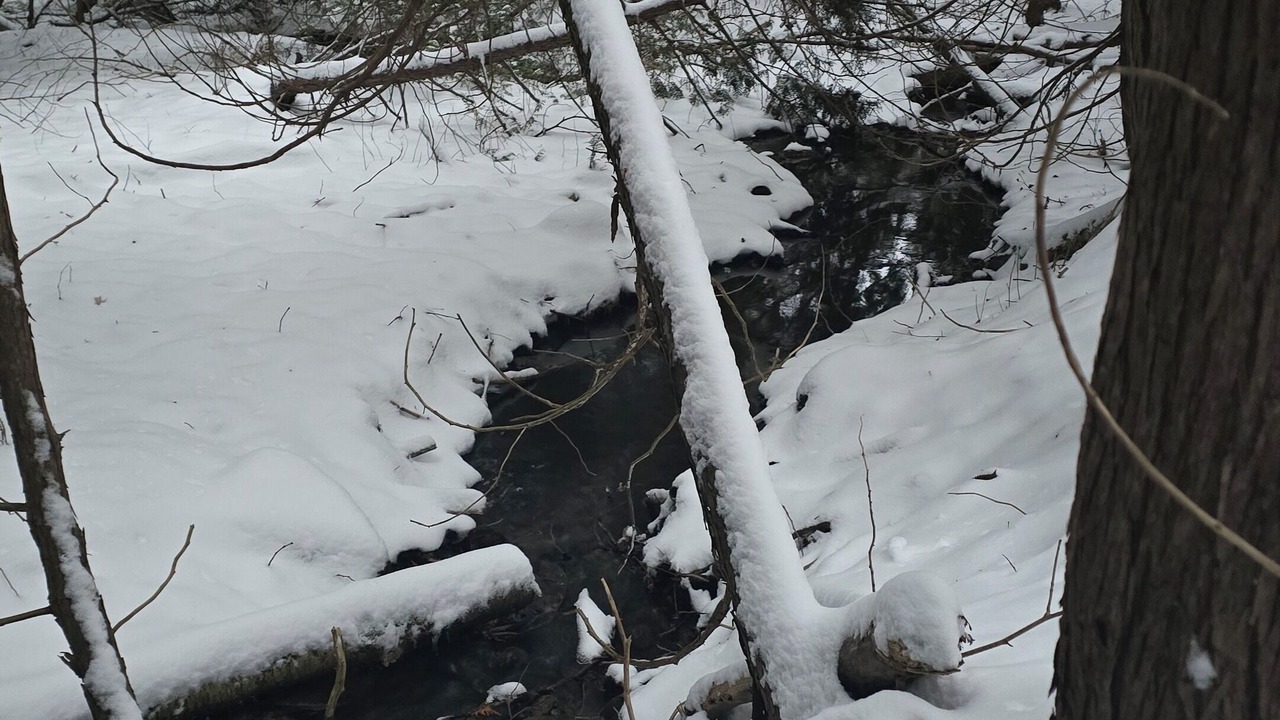 Photo of Others in Caledon