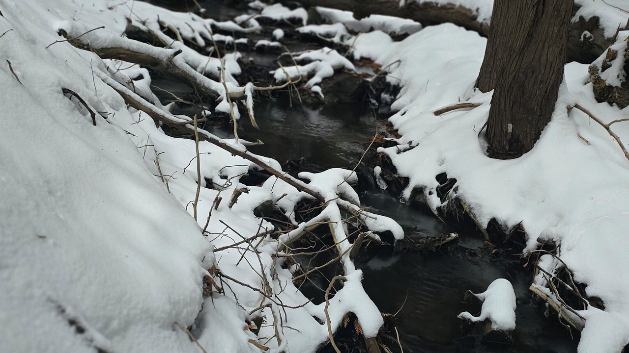 Photo of Others in Caledon