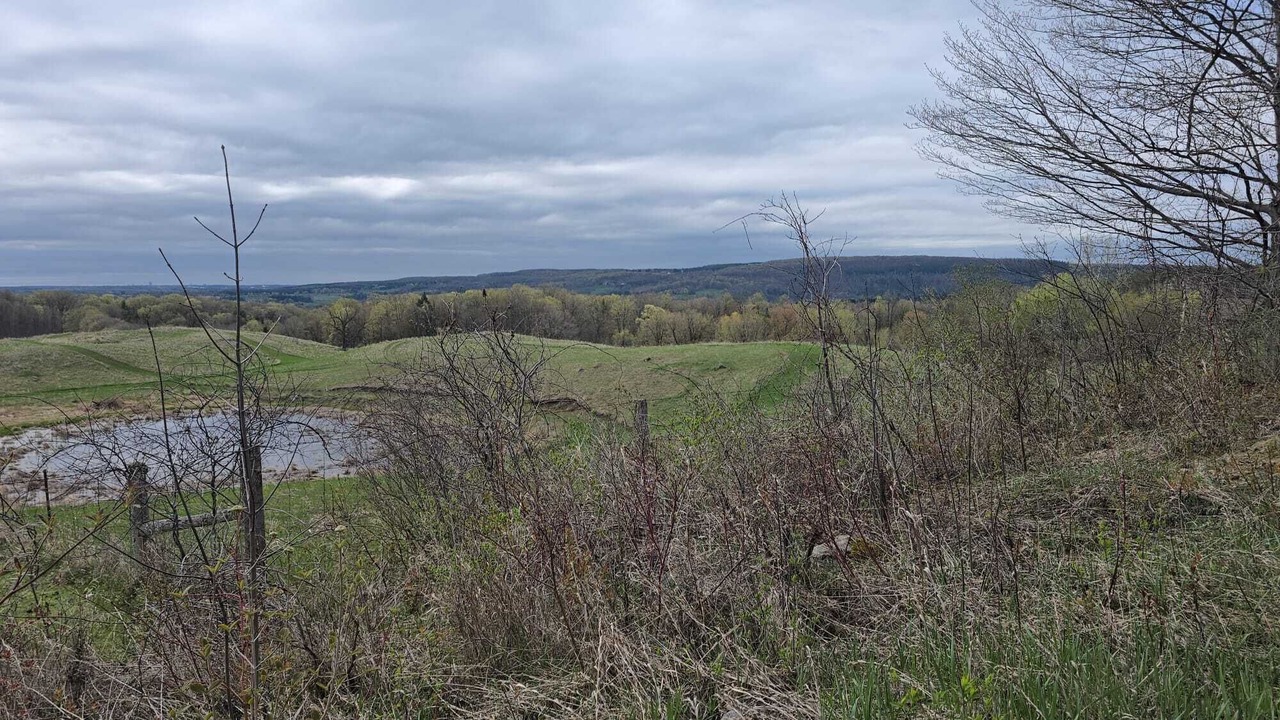 Photo of Others in Caledon