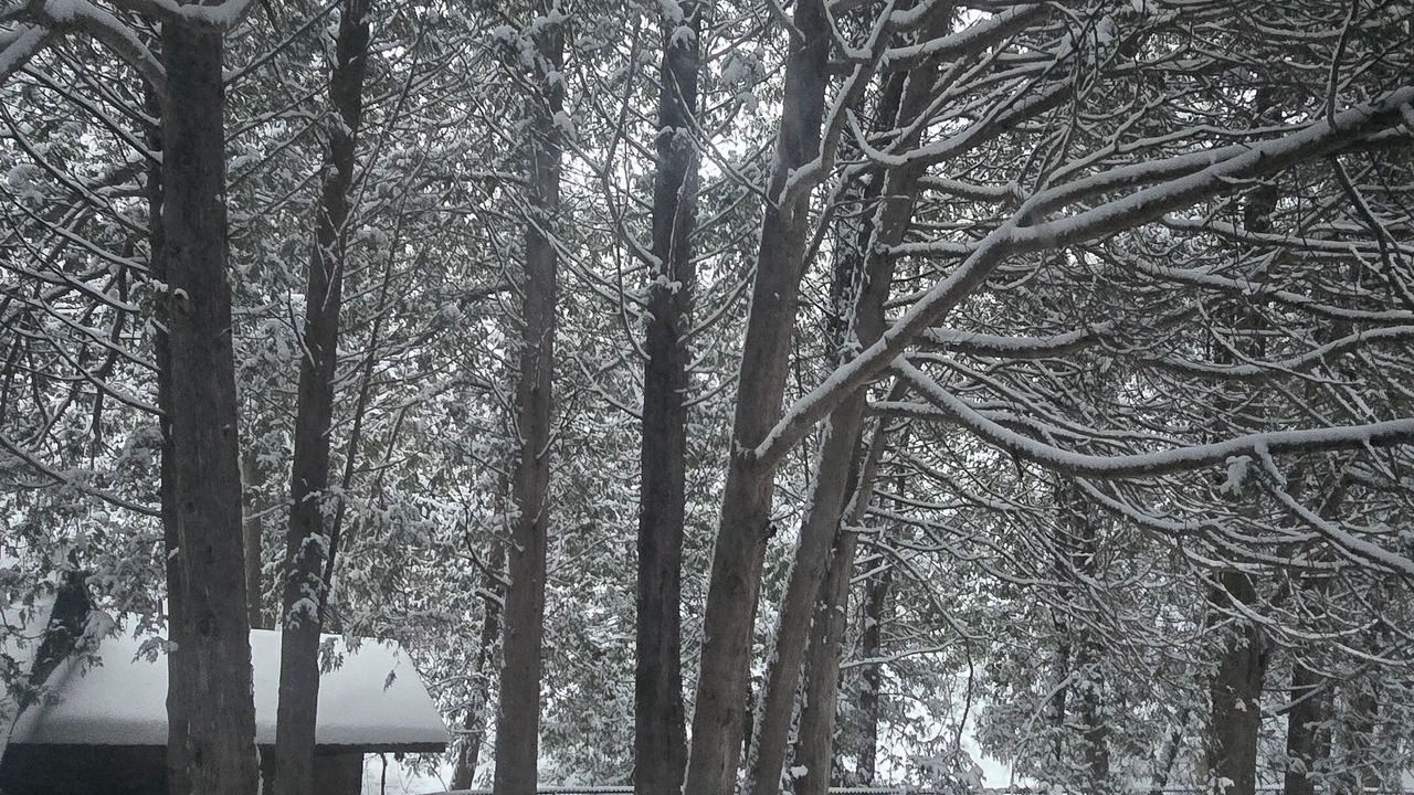 Photo of Outdoor in Caledon