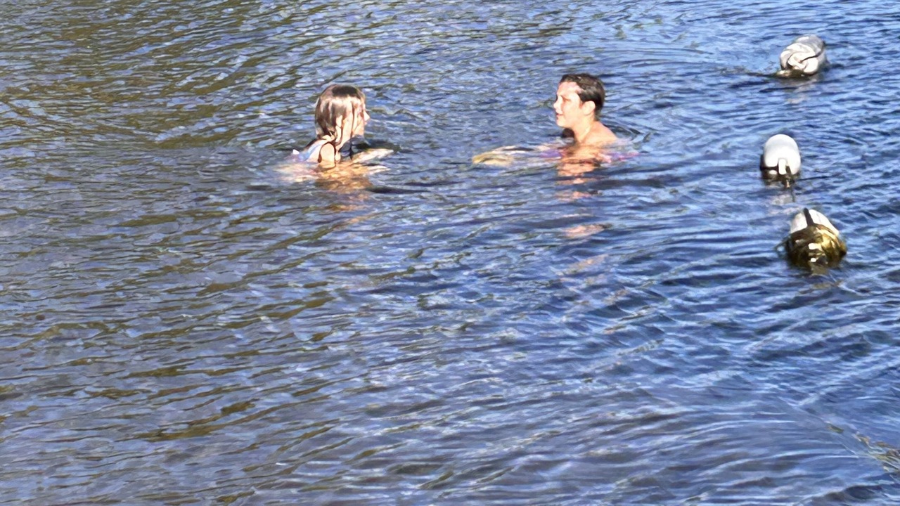 Photo of Others in North Algona Wilberforce
