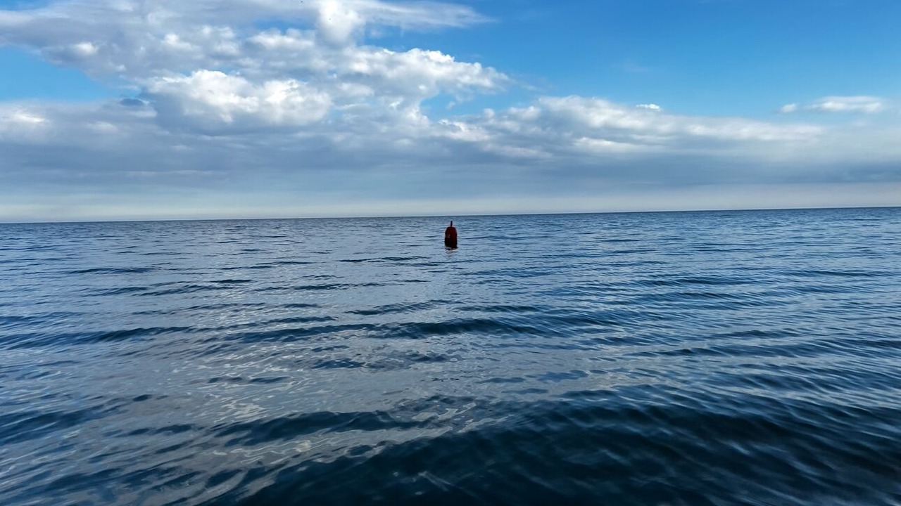 Photo of Others in Chatham-Kent