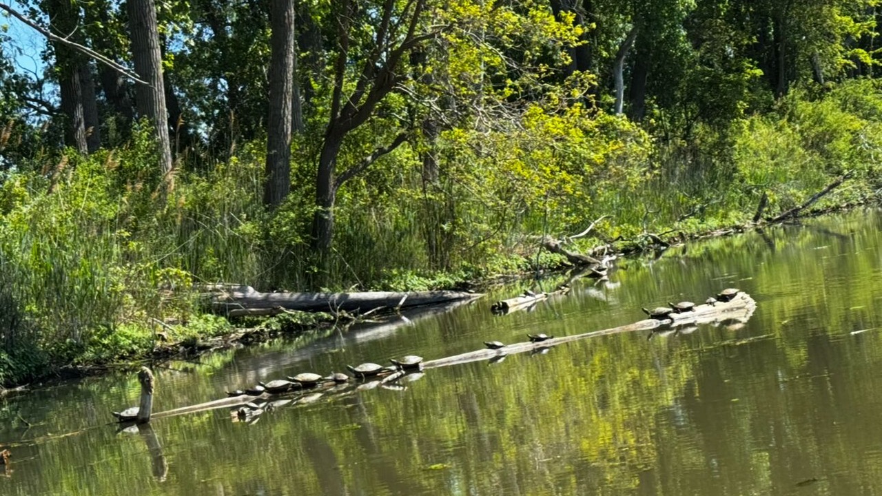 Photo of Others in Chatham-Kent