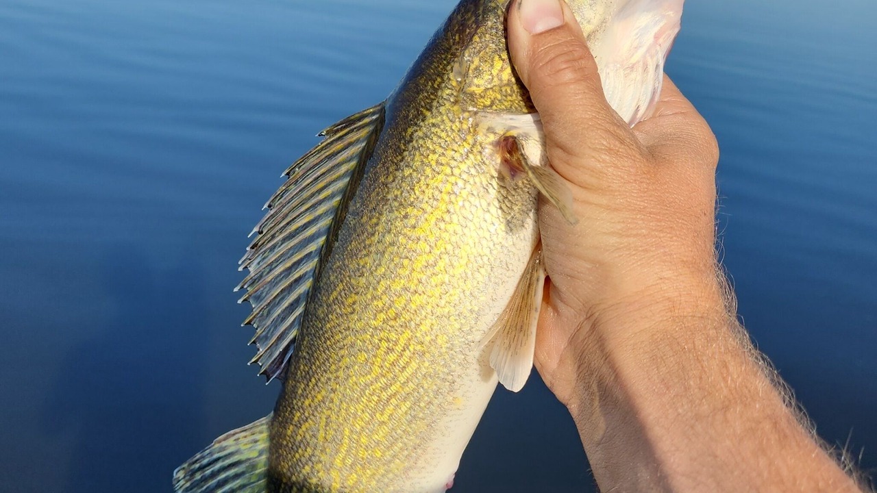 Photo of Others in Beltrami County