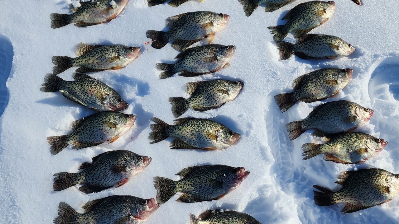 Photo of Others in Beltrami County