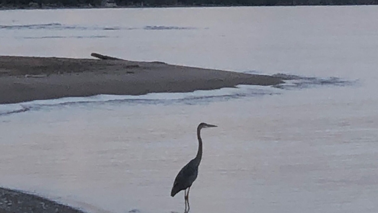 Photo of Others in Harwich