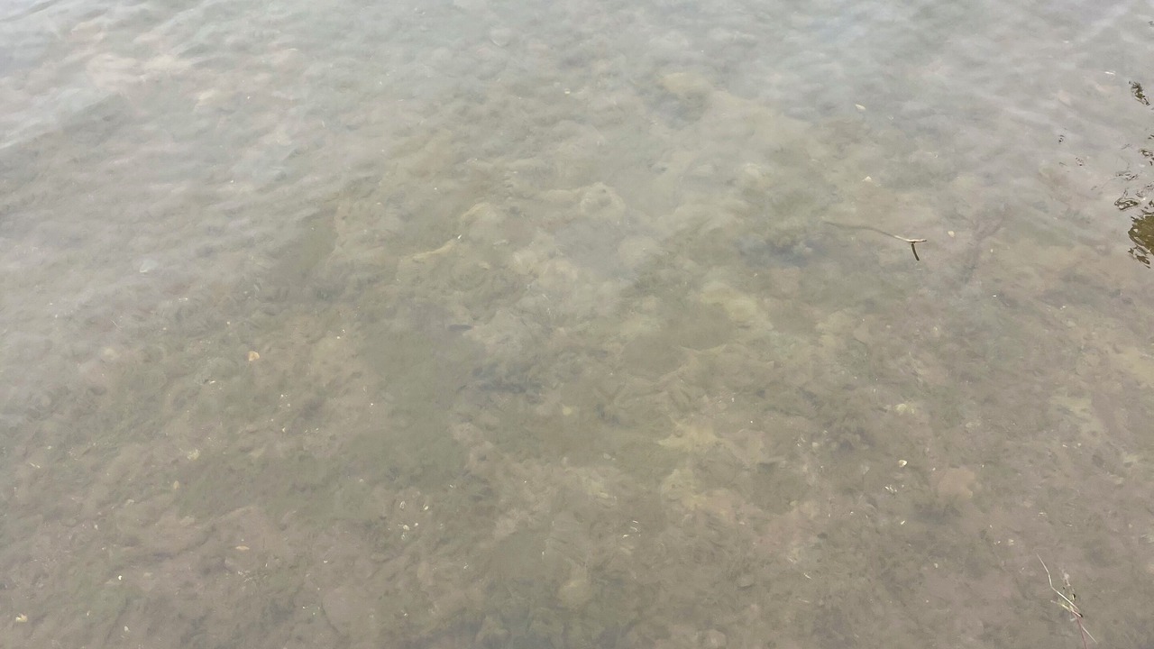 Photo of Others in Crosby