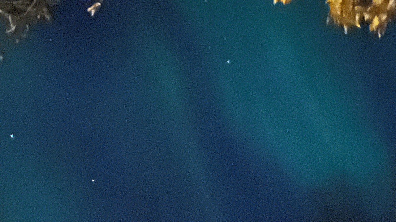 Photo of Others in Puposky