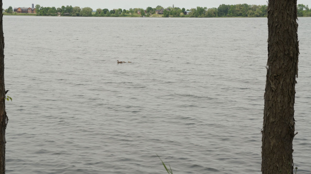 Photo of Others in Whitewater Region