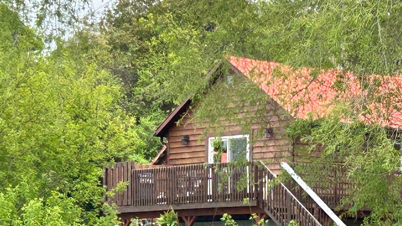 Photo of Outdoor in Harwood