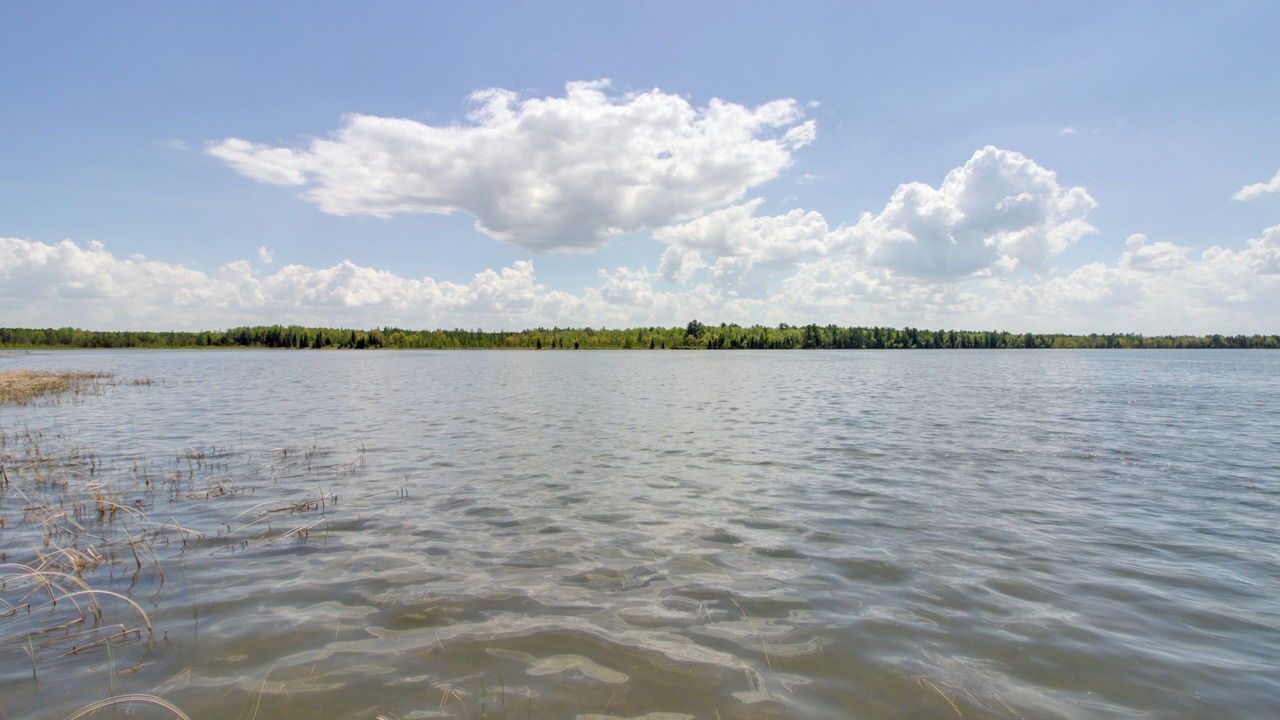 Photo of Outdoor in Wilkinson