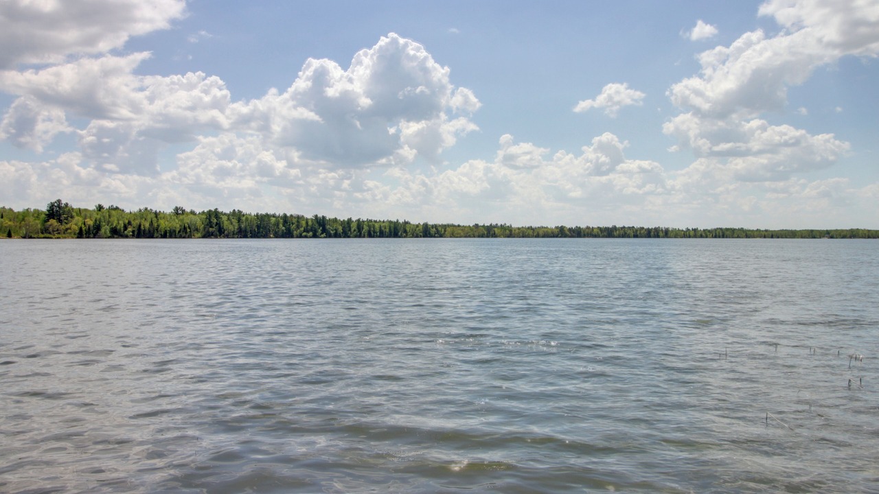 Photo of Others in Wilkinson