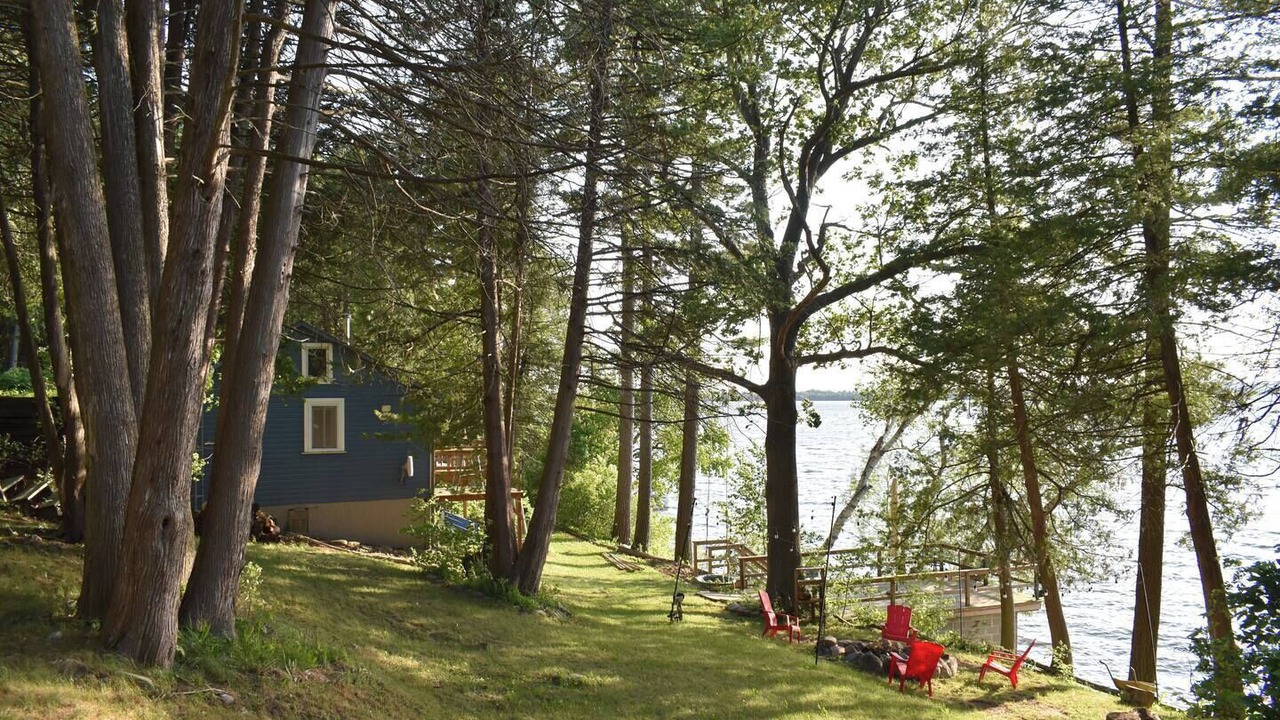 Photo of Outdoor in Roseneath
