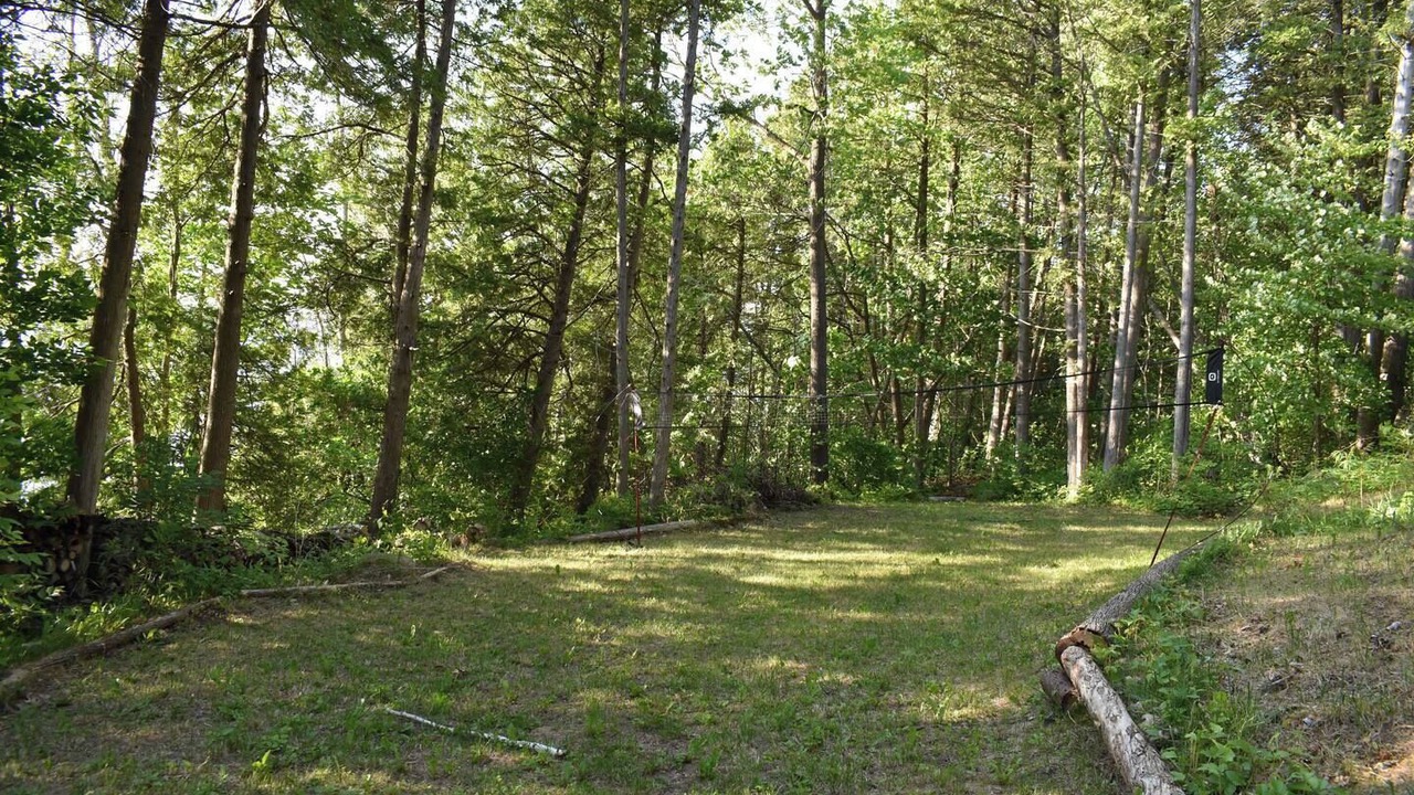 Photo of Others in Roseneath
