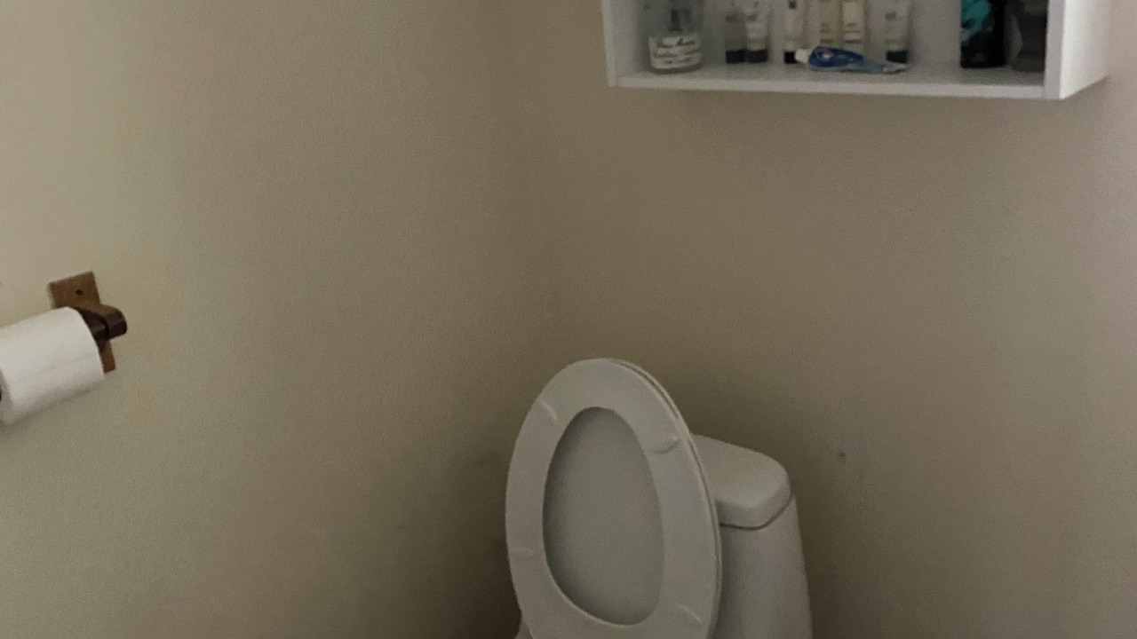 Photo of Bathroom in Walker