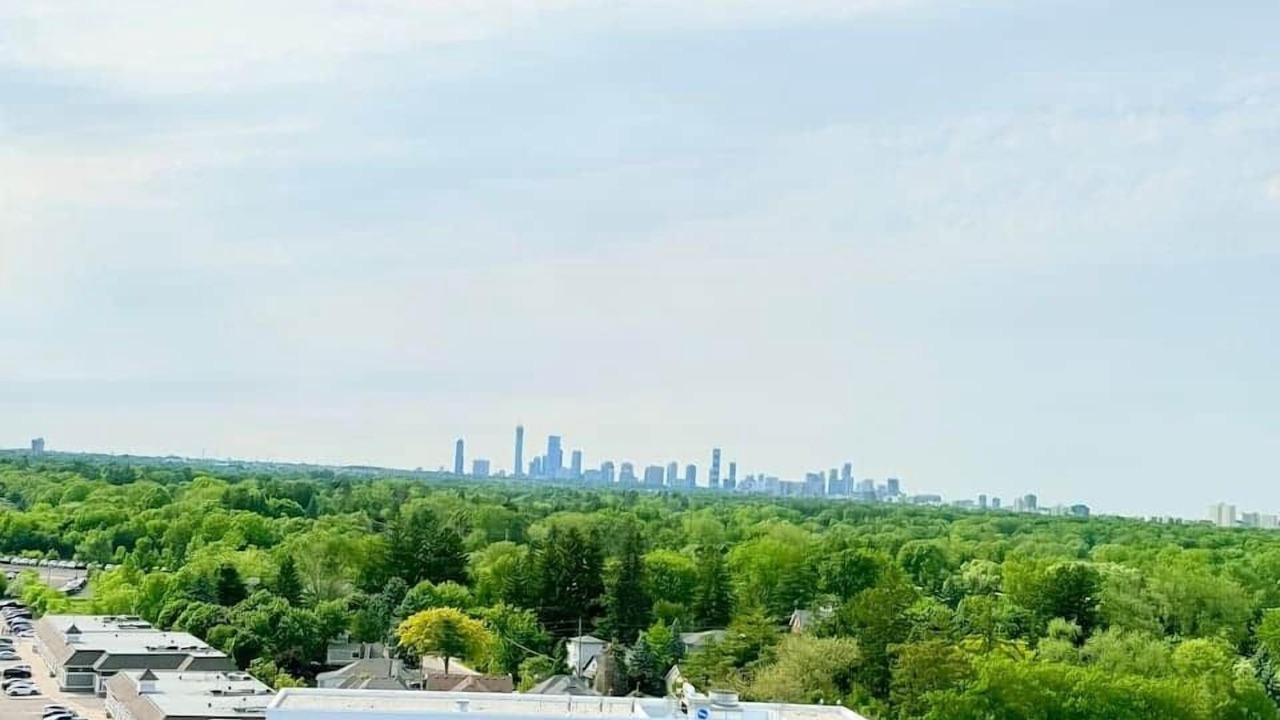 Photo of Others in Port Credit