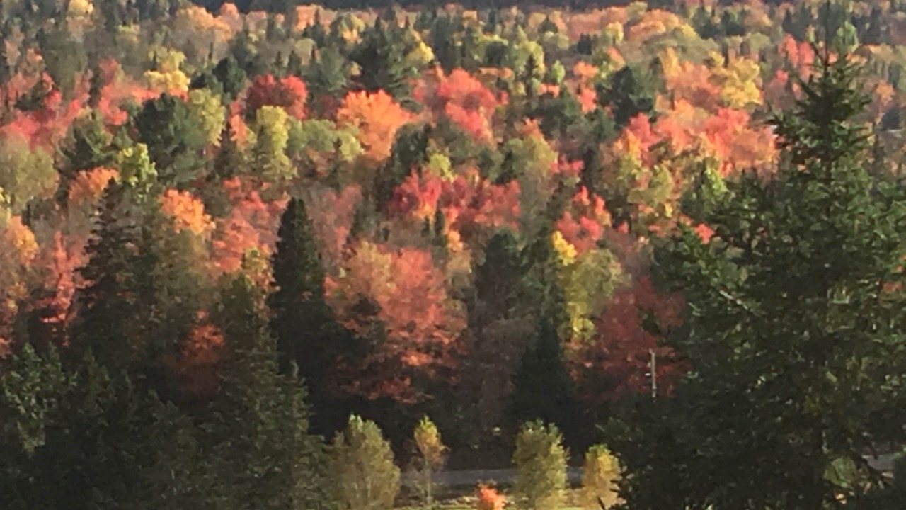 Photo of Others in Algoma District
