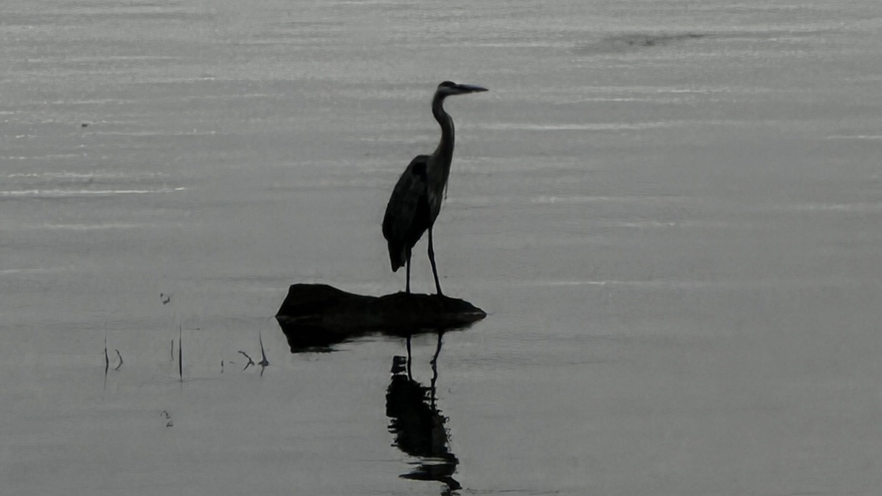 Photo of Others in Rideau Lakes